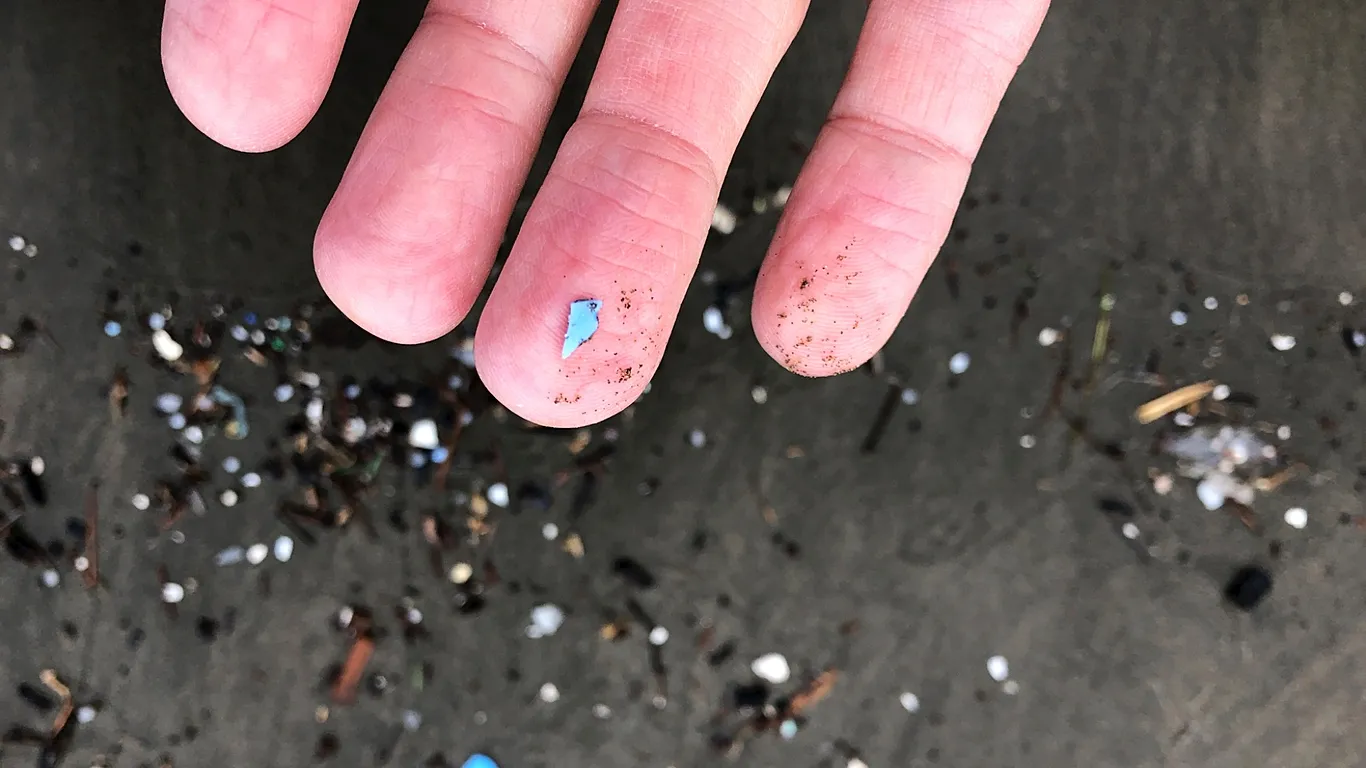 Microplastics Threaten the Ocean’s Role as a Climate Regulator, Scientists Warn