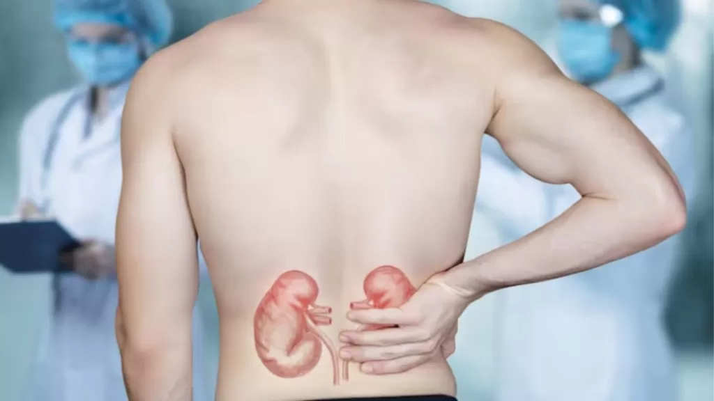 Image do post Chronic Kidney Disease May Affect Nearly One in Ten People in Chile, Experts Warn
