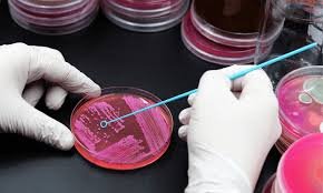 Image do post Precision Personalised Medicine Is Transforming the Treatment of Infectious Diseases, Spanish Expert Says